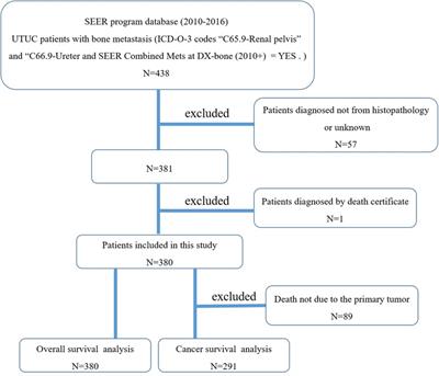 Clinical features and prognostic indicators in upper-tract urothelial carcinoma with bone metastasis